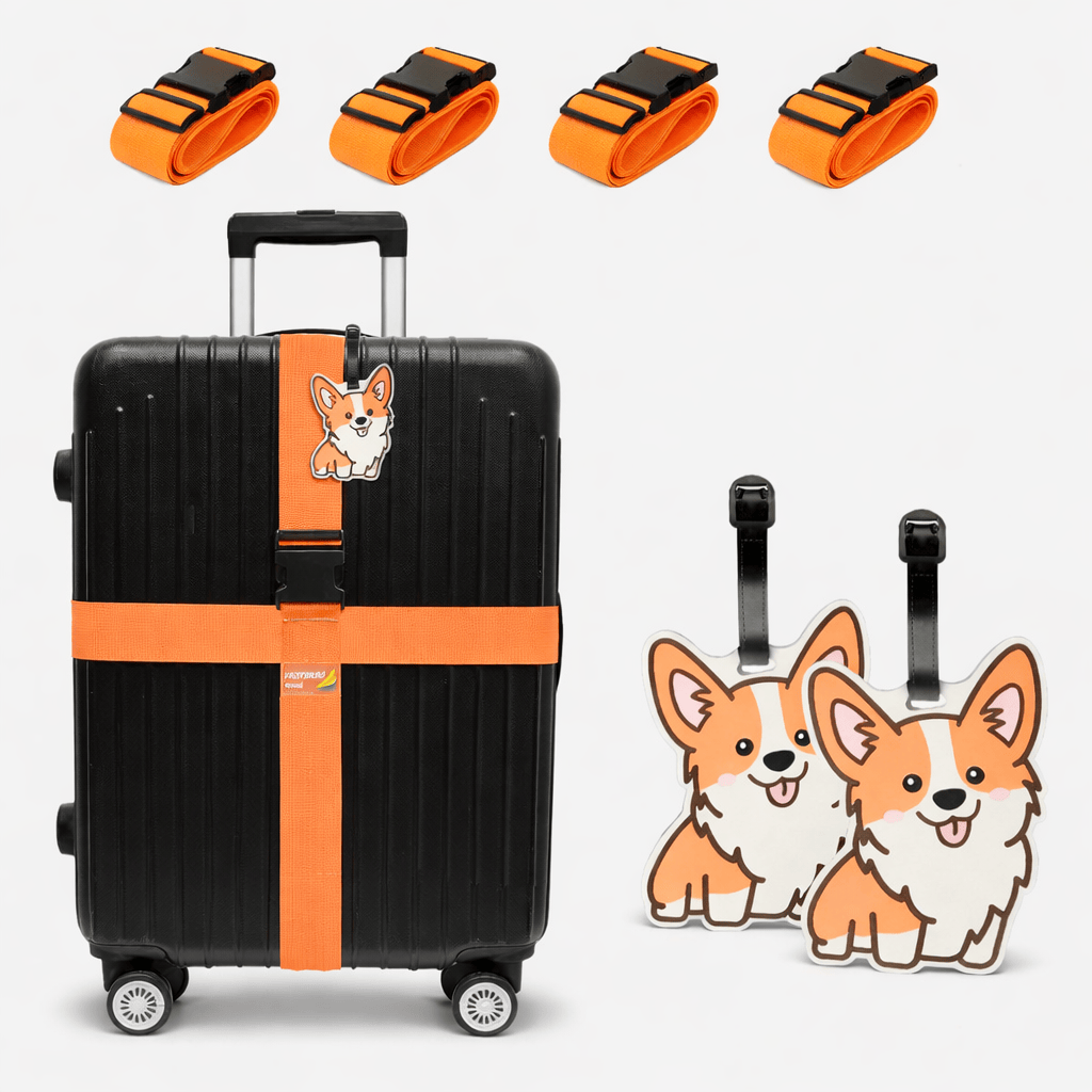 Lot de sangles pour valise